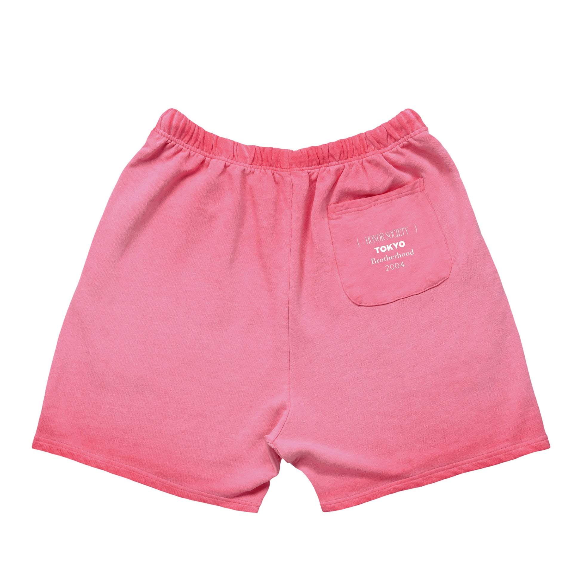 Honor Society Do It Again Shorts — Pink (Back)