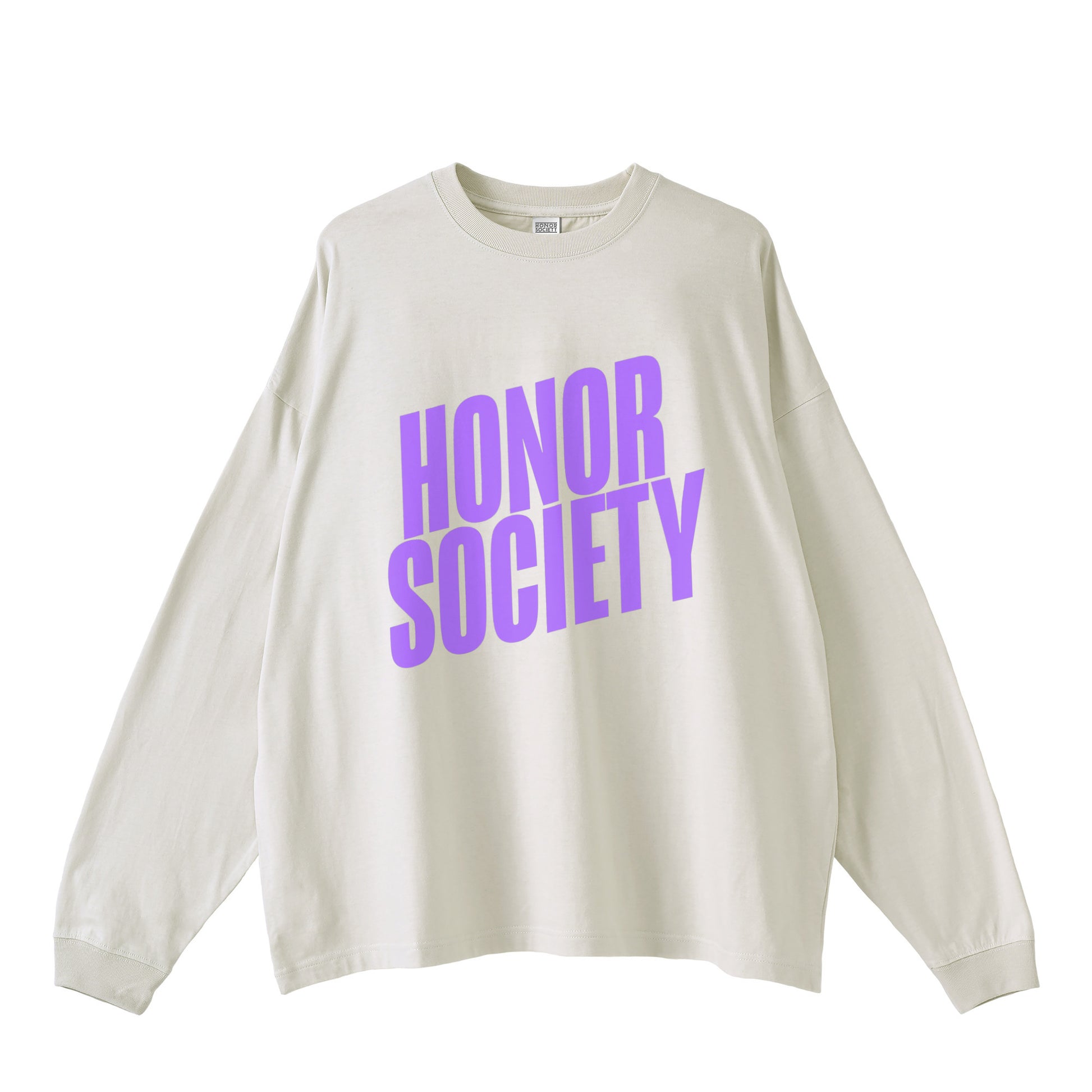 Honor Society Diagonal Long Sleeve Tshirt gray image