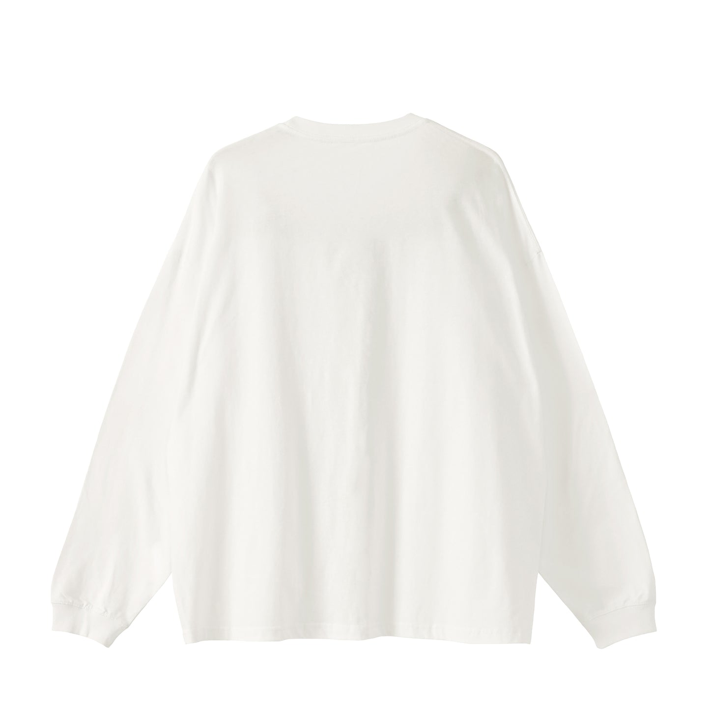 Honor Society Diagonal Long Sleeve Tshirt white image